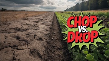 Chop and Drop EXPOSED: The Soil Secret Permaculture Experts Don