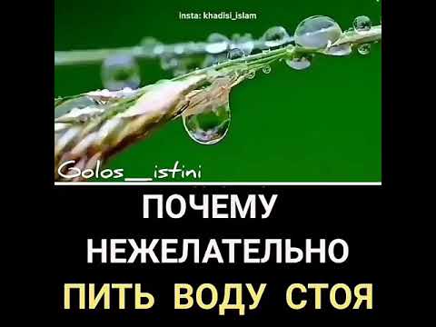 Почему нельзя пить стоя. Хадис про пить воду стоя. Почему нельзя пить воду стоя. Почему мусульманам нельзя пить воду стоя. Почему нельзя пить стоя в Исламе.