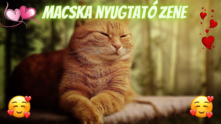Macskák szeretik 😸 Macska nyugtató zene 😸 Nyugtató zene macskáknak 😸 Zene macskáknak 😸 Macskazene