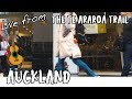 Auckland - Live Ukulele Session from New Zealand's Te Araroa Trail | 4. Coming Home