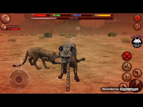 Cheetah Creating a Family (#2 Ultimate Savanna Simulator)