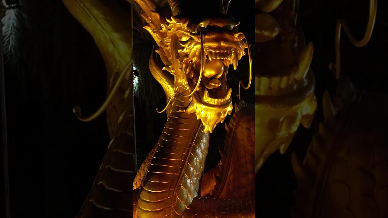 Hai Leng Ong - Golden Dragon in Phuket, Thailand