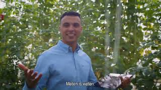 Versnel Je Business Met Softwareone Door Ibm Automation