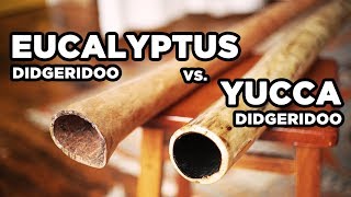 Eucalyptus vs. Yucca Didgeridoo Comparison