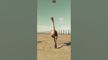 Gallimimus Kicks Coelophysis In The Face Sending it Flying  #shorts #jwe2