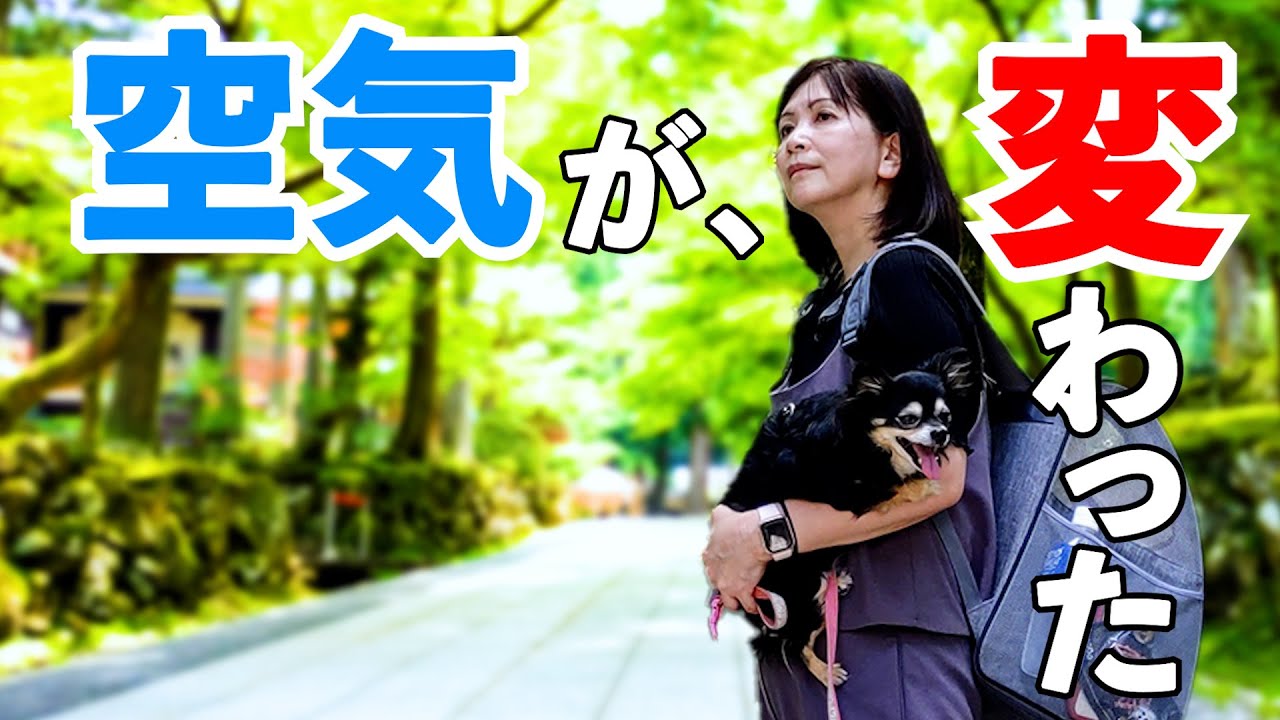 福井車中泊旅 絶対行きたいパワースポット 永平寺 越前海岸 Youtube 福井車中泊旅 絶対行きたいパワースポット 永平寺 越前海岸 Youtube