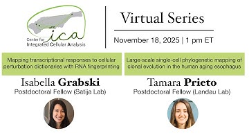 CICA Virtual Seminar Series-  Isabella Grabski and Tamara Prieto - November 18th, 2025