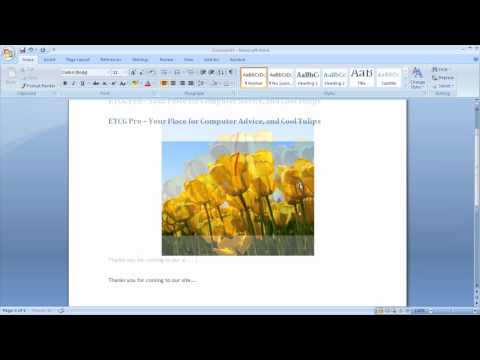 Using Microsoft Word