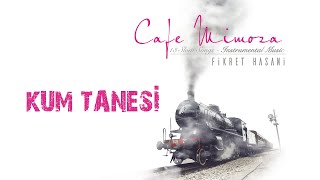 Fikret HASANİ   Kum Tanesi Resimi