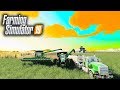 FS-19 HELPING OUR NEIGHBOUR BY HARVESTING HER CORN ON TOURNAMENT HONEY DEW FARMS EP#4