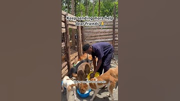 PayPal link in bio to donate any little amount you can afford 🐶