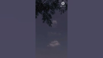 قرآن كريم بصوت جميل (سورة الكافرون)