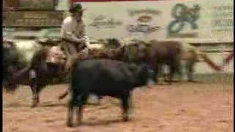 2005 NCHA Futurity Open Champion