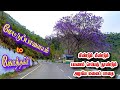 Mettupalayam to kotagiri road i scenic route