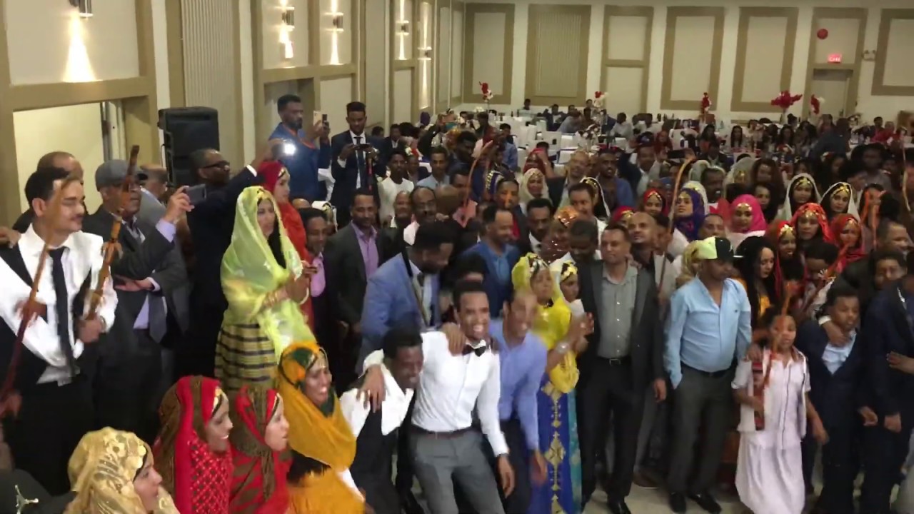 Habtat Zerezghi Kitchener Blin wedding Habitat YouTube