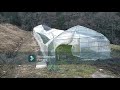 最悪【ハウス倒壊】ビニールハウス4棟潰れた。