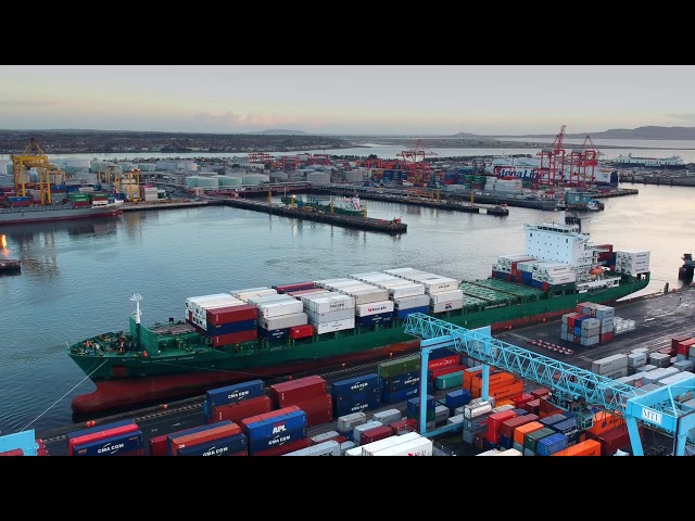 CMA CGM Pointe Caraibe - Arriving into Dublin Port 08/11/18