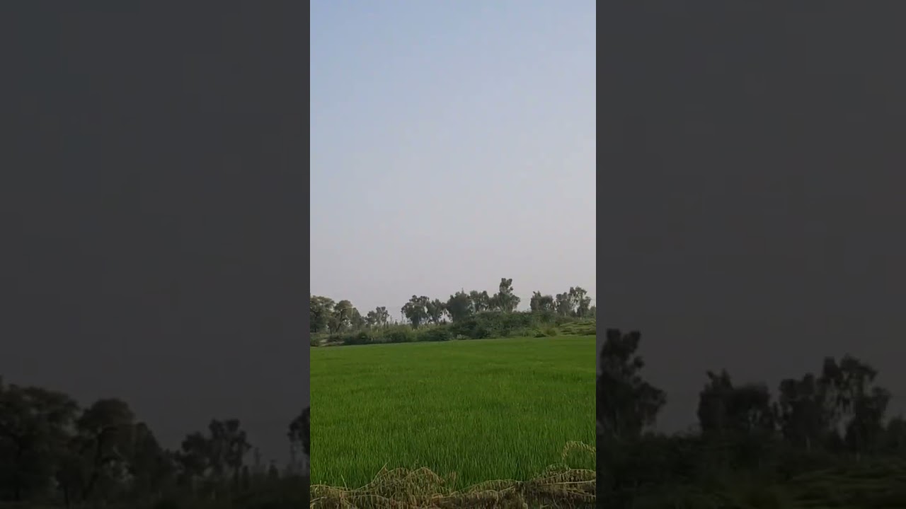 beauty of trimmu barrage...تریموں بیراج