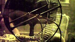 CLIP0212