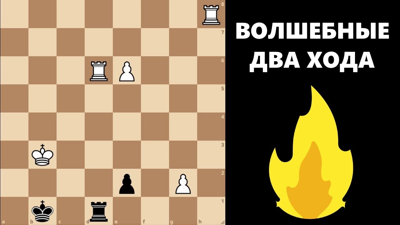 Фантастические ходы, и где они обитают! 