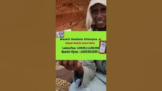 Waamicha Aalima Keenna Sheek Jeeyilaan Aadam ykn Adaanoo