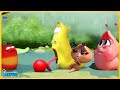 Larva Stories Cartoon: Tomato | The BEST of Cartoon Box  | Best Cartoons of 2024