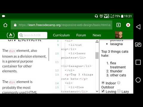 Basic HTML and HTML5 part25: Nest Many Elements within a Single div Element