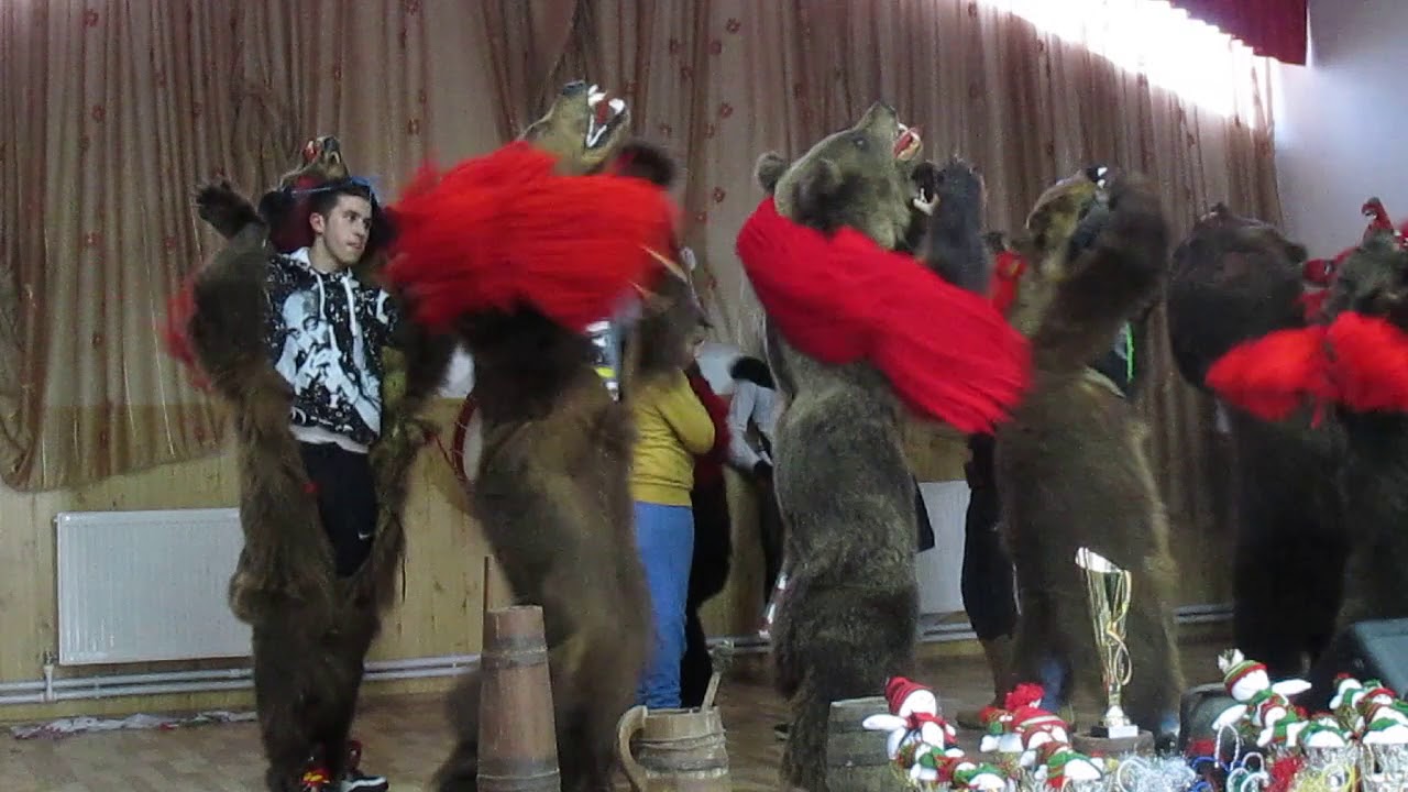 Ursii din Branesti...Podureanca 2018