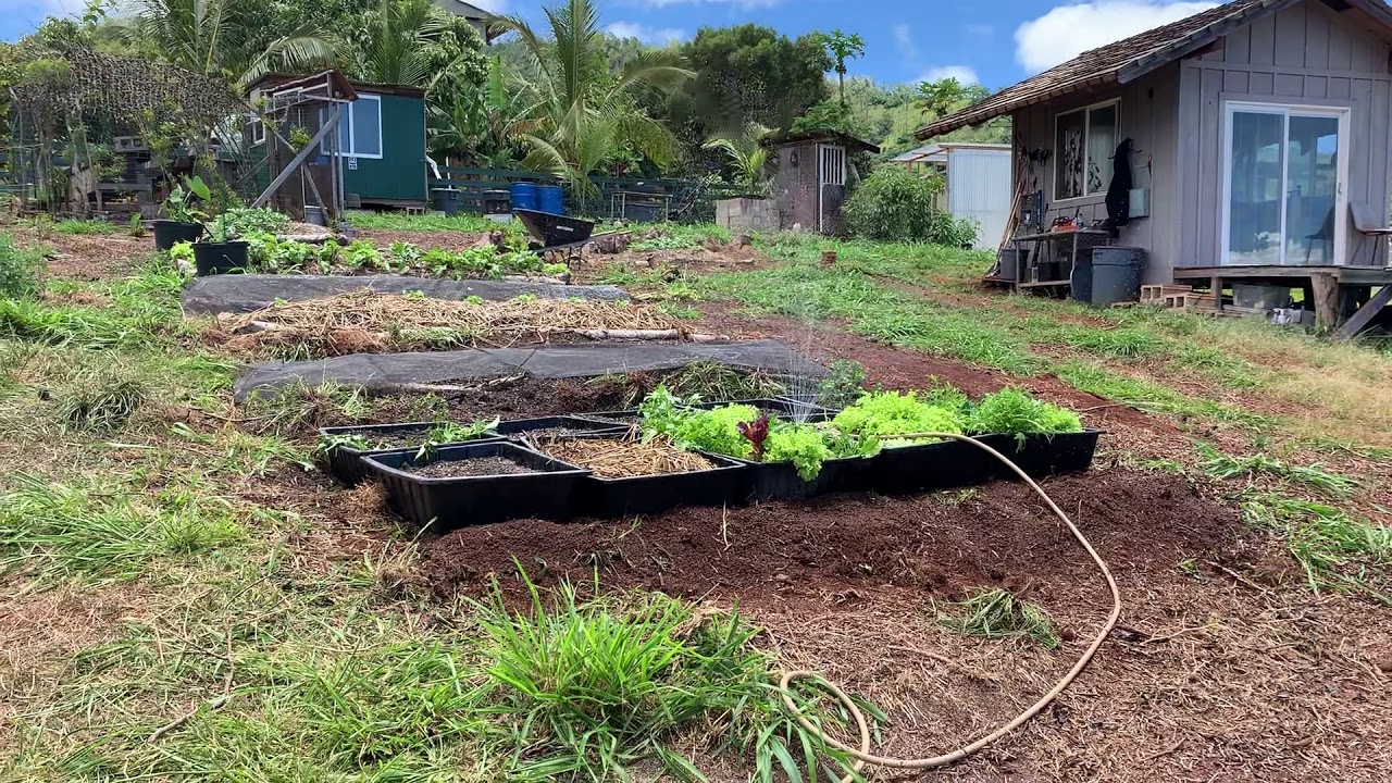 Oahu Off Grid YouTube