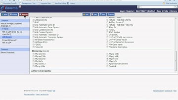 Convert IDs using ensembl biomart