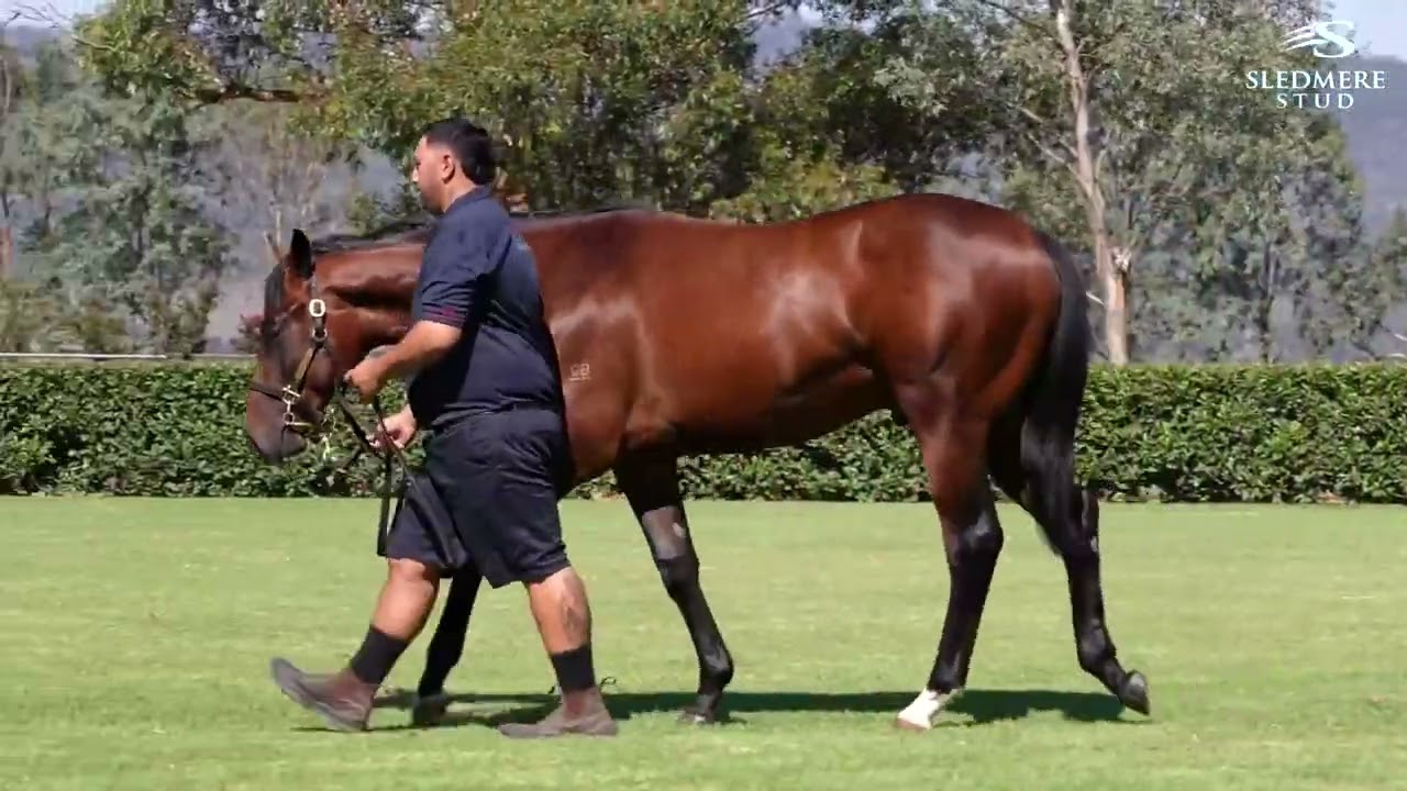 Capitalist x Is What It Is