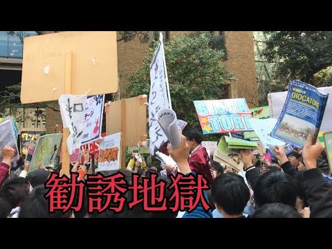 早稲田の入学式・新歓勧誘の様子！！
