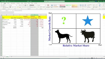 How to create a BCG Matrix using excel