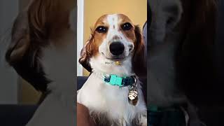 Mood when u put this Masterpiece 😆🔥