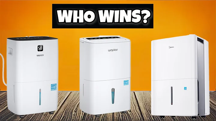 Best Dehumidifier and Air Purifier Combo 2025 Don’t BUY One Before Watching This