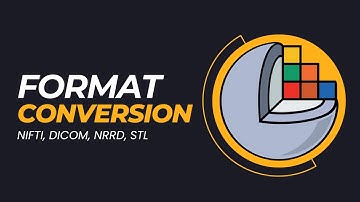 Medical Image Format Conversions Using 3D Slicer