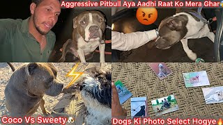 Raat Mai Farm Par Aggressive Pitbull Ko Chodne Aaye Kuch Anjan Log😨Pitbull Attack😰