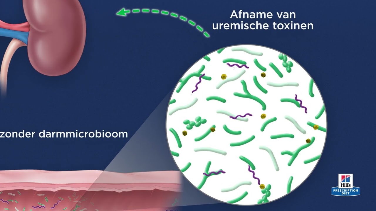 Hill's Prescription Diet k/d - nu met ActivBiome Kidney Defense technologie