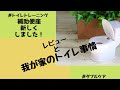 【トイレトレーニング】補助便座を新調しました～レビューと我が家のおトイレ事情