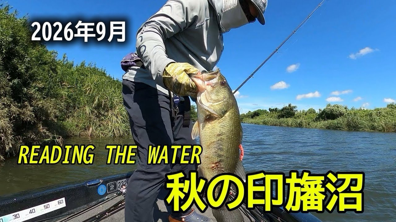 READING THE WATER 秋の印旛沼　2026年9月