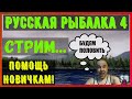 Русская Рыбалка 4 *😝Помощь, Крафтим приманки, Прикорм, Наживка! Для новичков!😝*