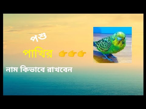 ভিডিও: কিভাবে একটি প্রাণীর নাম রাখা যায়