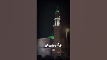 قال رب إني وهن العظم مني واشتعل الرأس شيبا  صوت جميل #تلاوة مميزة #راحة القلب