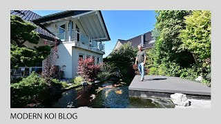 Modern Koi Blog #4867 - Wolfgang's 8-year-old and almost self-built 45,000-liter koi pond