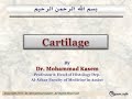 Histology of cartilage