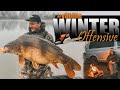 36h Winter Vanlife Karpfen-Session Baggersee I Echolot I Rigs I Futter I Fische I Lowrance