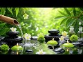 Relaxing Healing Music 🌿 Deep Sleep Music for Stress Relief, Anxiety Relief, Calm Mind & Body