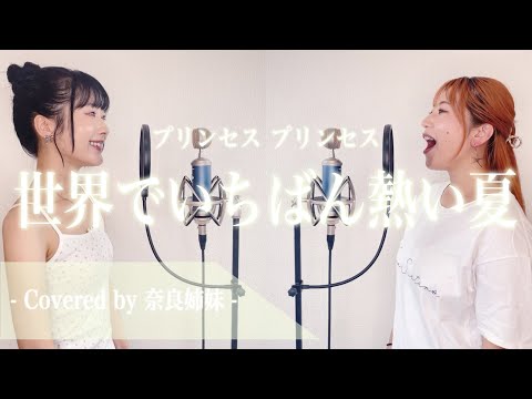 [Harmonizing Sisters] The Hottest Summer in the World / Princess Princess Covered by Nara Sisters