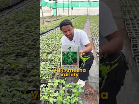 एक Solution से बचेगा लाखों का नुकसान 😱💰 #indianfarmer #shorts