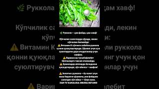 #soglomhayot #rek #tiktok #short #kanalimizga_obuna_buling_duslar